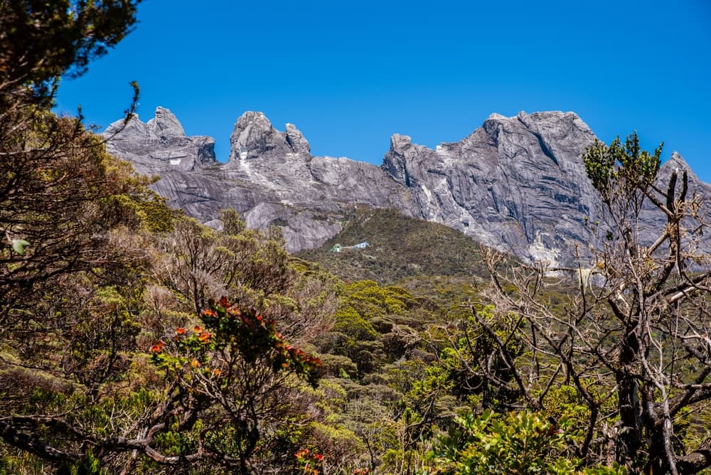 Parco Kinabalu